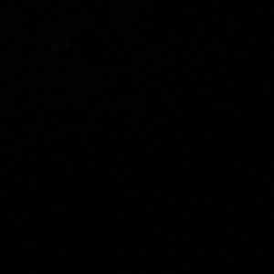 Meet your Posher, Terrel